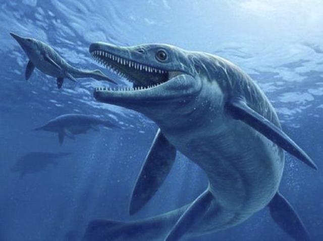 龙王鲸这种史前巨兽是因为什么而灭绝的？或与另一种史前巨兽有关