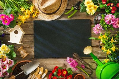 ​这几个养花小妙招，我只偷偷告诉你