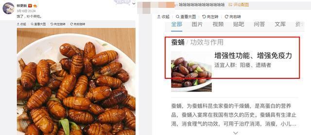 林更新微博吓到粉丝，网友：这是什么？怎么吃？直接嚼？