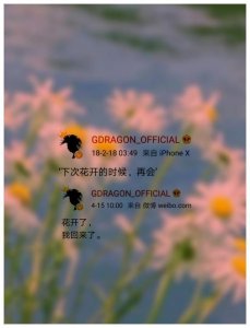 ​兵役结束后的权志龙首发文：“花开了，我回来了”，宣布回归！