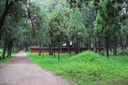 泰山景区门票降价第一天,记者小姐姐带您云“游”泰山~全省还有80家景区降价!一起出发去旅行吧~