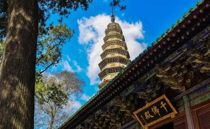 泰山景区门票降价第一天,记者小姐姐带您云“游”泰山~全省还有80家景区降价!一起出发去旅行吧~