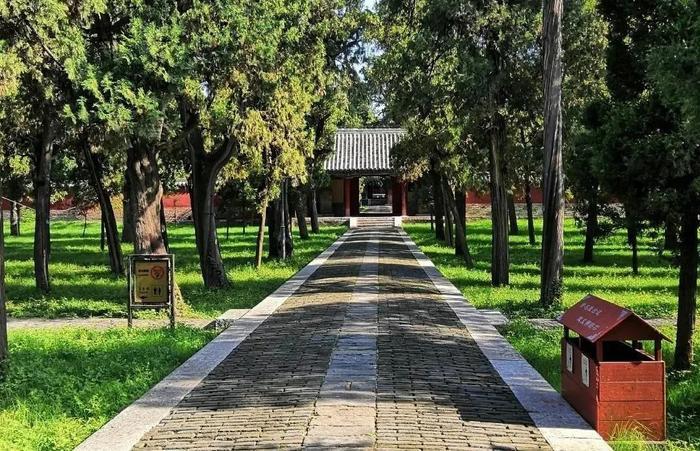 泰山景区门票降价第一天,记者小姐姐带您云“游”泰山~全省还有80家景区降价!一起出发去旅行吧~