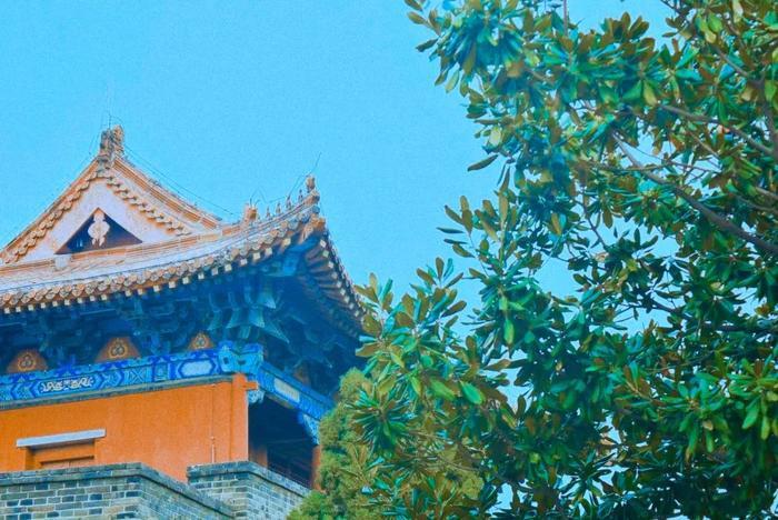 泰山景区门票降价第一天,记者小姐姐带您云“游”泰山~全省还有80家景区降价!一起出发去旅行吧~