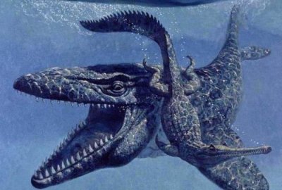 ​5种远古时期水生动物，第3种性情凶悍，仍有出现