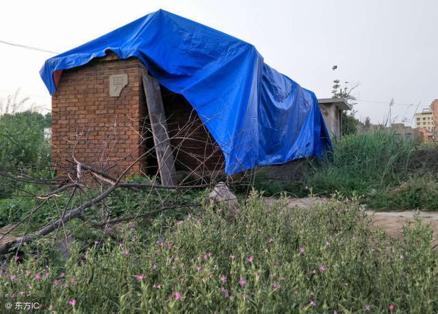 村庄“三清一改”行动,不了解这些的农民,可要吃亏的!