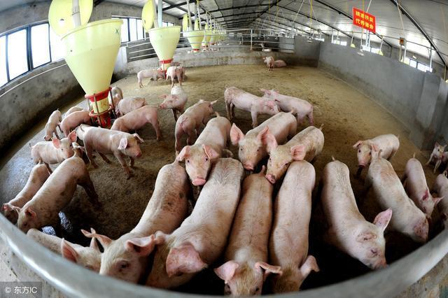 村庄“三清一改”行动,不了解这些的农民,可要吃亏的!