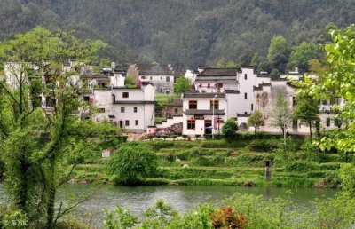 ​村庄“三清一改”行动，不了解这些的农民，可要吃亏的！