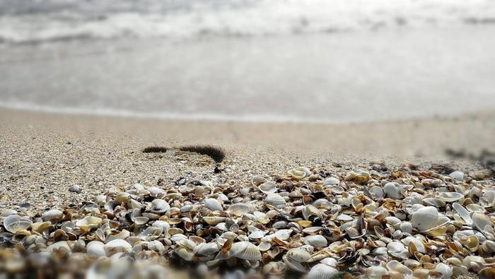 黑排角:和东西冲媲美的海岸线