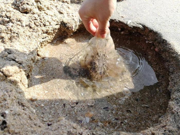 黑排角:和东西冲媲美的海岸线