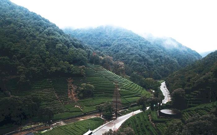 和我在西湖的景区走一走