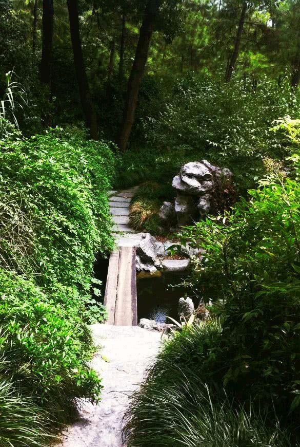 和我在西湖的景区走一走