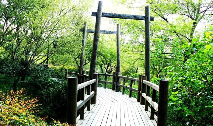 和我在西湖的景区走一走