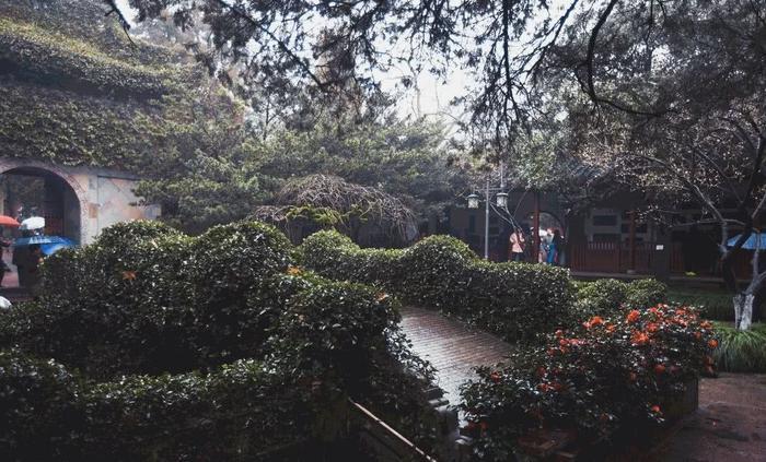 和我在西湖的景区走一走