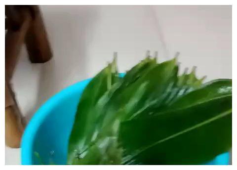 八宝肉粽的详细包法(附视频教学,简便易学)