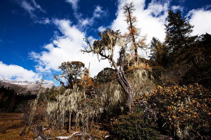 川西高原的一颗明珠，人间仙境九龙伍须海