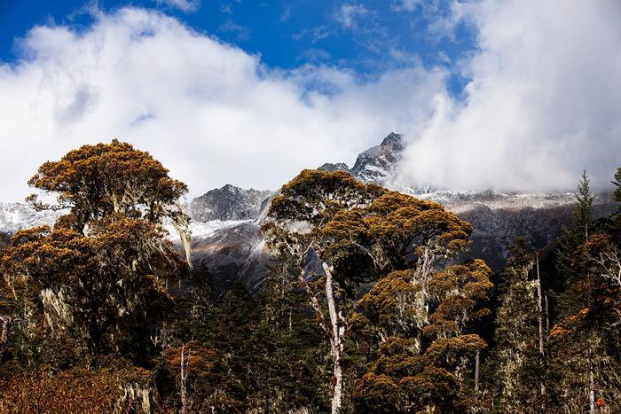 川西高原的一颗明珠，人间仙境九龙伍须海