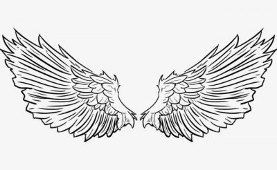 ​如何才能画出一对好看的翅膀我没有什么画画功底的