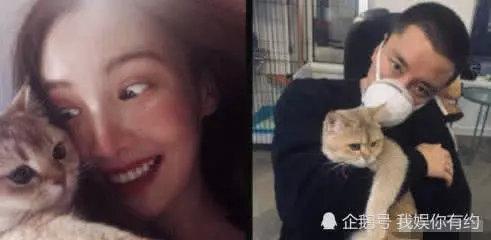 贾乃亮发文回应与金晨的恋情,“三连”否认,情商让网友佩服