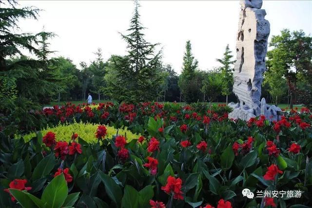 兰州植物园精心组织新优品种引进和栽植!