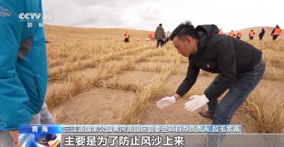 ​守护好“中华水塔”，他们做了这些努力