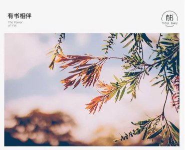 ​董卿又缺席春晚，倪萍经纪人抱不平：8个字令人深省