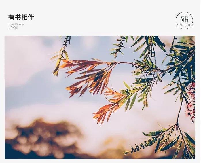 董卿又缺席春晚，倪萍经纪人抱不平：8个字令人深省