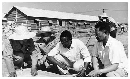 中国曾出资上千亿帮非洲修建坦赞铁路，如今现状却令人心痛