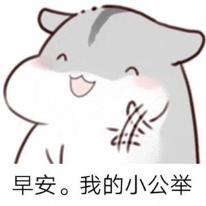 超级可爱的早安表情包: 早上好