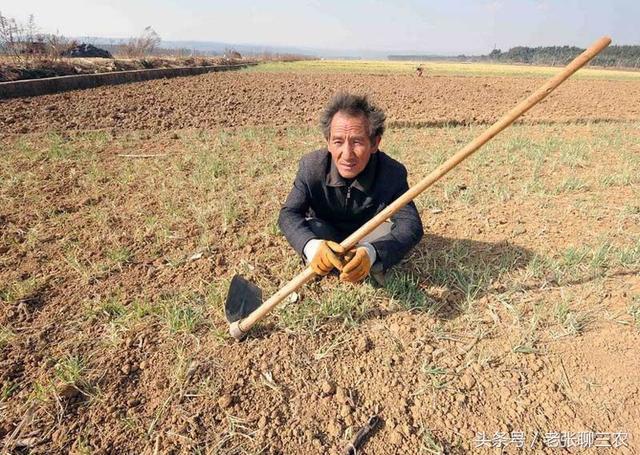 重磅：2028年土地承包到期后，这4类农将不能再承包土地了！