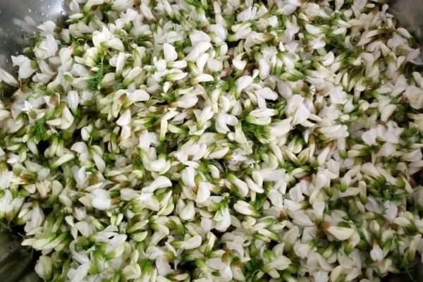 这是路边常见的树木，花摘来可做菜，营养丰富，晒干一斤50元