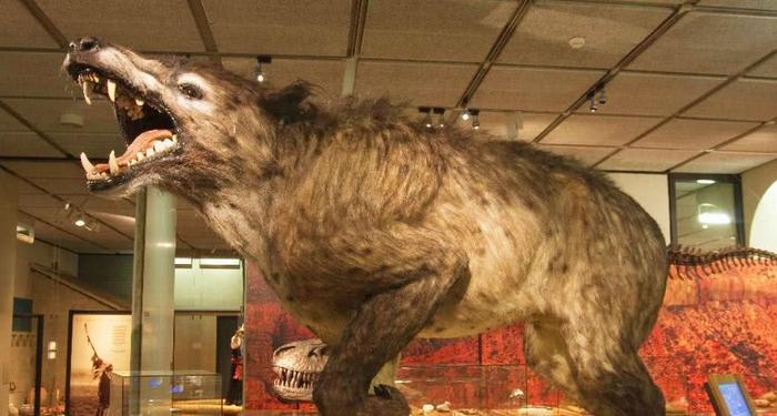 神农架的神秘生物只有野人吗，不，还有这样一种史前怪兽