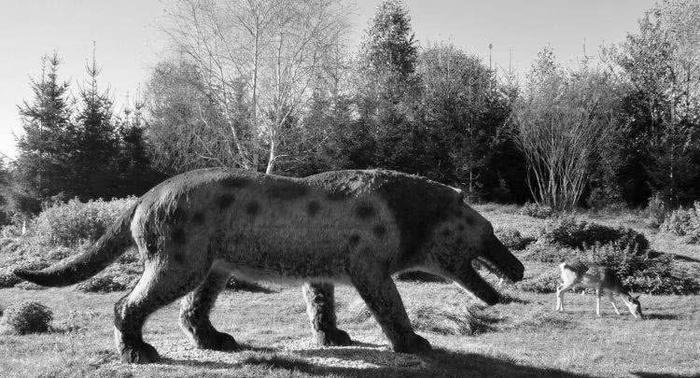 神农架的神秘生物只有野人吗，不，还有这样一种史前怪兽
