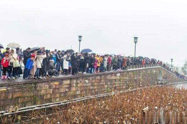 西湖断桥游客爆满,只为目睹“断桥残雪”,网友调侃:残雪早融了
