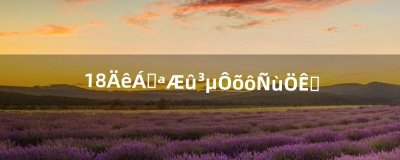 ​18年猎豹汽车怎么样质量（猎豹汽车质量到底好不好)