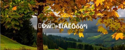 ​微信登不上了怎么办（人工客服帮忙找回微信)