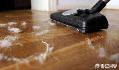 ​什么情况下自家宠物需要体检，有什么注意事项 呢？