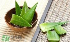 芦荟敷脸后要洗脸吗?芦荟敷脸多长时间洗掉? 芦荟敷脸后要洗脸吗?芦荟敷脸多长时间洗掉?