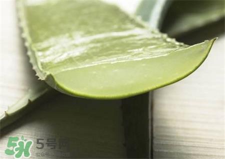 芦荟敷脸后要洗脸吗?芦荟敷脸多长时间洗掉? 芦荟敷脸后要洗脸吗?芦荟敷脸多长时间洗掉?