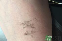 卡婷液体眉笔怎么用?卡婷液体眉笔使用方法 卡婷液体眉笔怎么用?卡婷液体眉笔使用方法