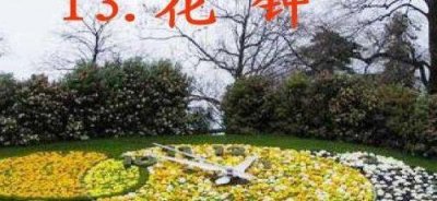 ​欣然怒放是什么意思（欣然怒放是什么意思和含义呢）