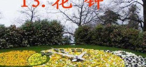 欣然怒放是什么意思（欣然怒放是什么意思和含义呢）