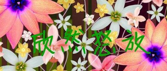 欣然怒放是什么意思（欣然怒放是什么意思和含义呢）