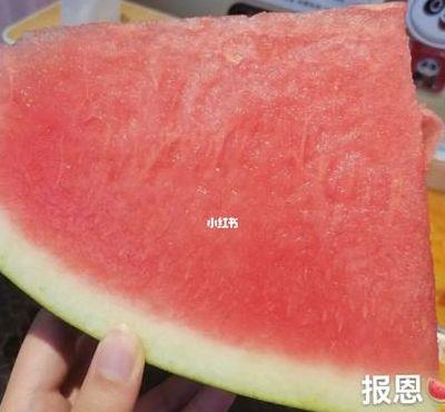 谨遵教诲(谨遵教诲是什么意思)