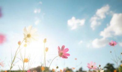 ​海康威视监控安装教程及配置海康威视监控安装教程