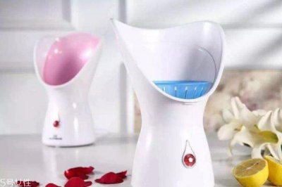 ​蒸脸器有必要买吗 蒸脸器的好处和坏处