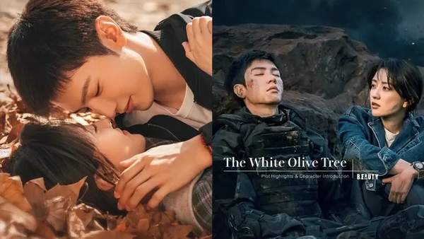 白色橄榄树什么时候上映?主演阵容&剧情介绍