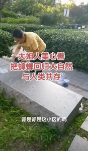 ​女子在小区放生蟑螂！被业主制止时反怼“你凭什么拍”，物业回应