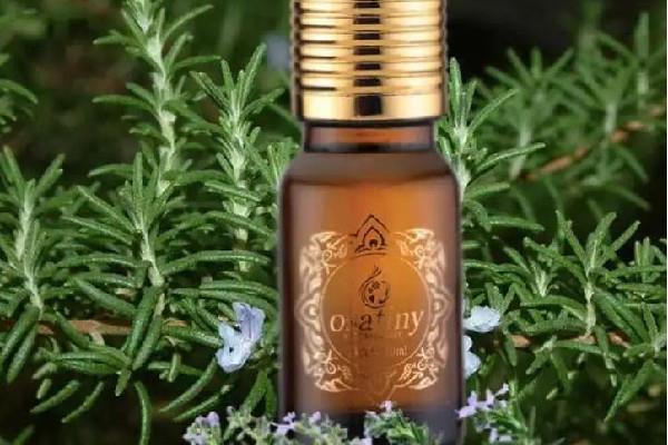 迷迭香精油适合什么肤质 迷迭香精油可以用在脸上吗 迷迭香精油适合什么肤质 迷迭香精油可以用在脸上吗