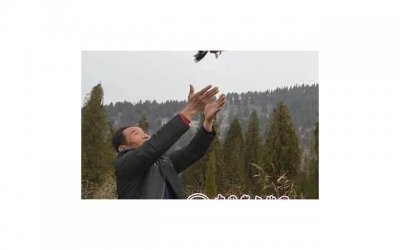 ​一个大龄剩女的婚姻观：“我爱的男人，我得不到，谁也别想得到”